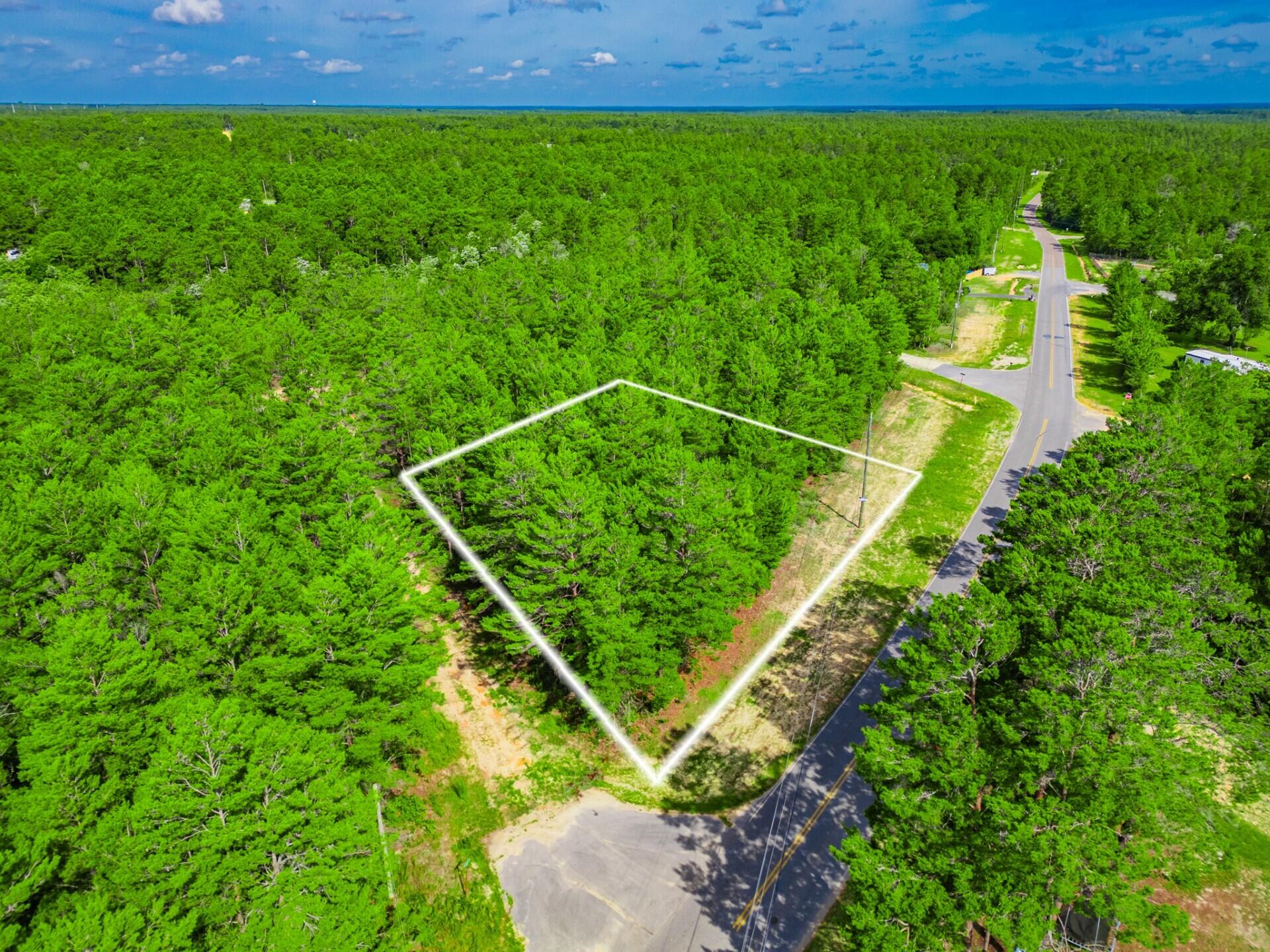 TBD Girl Scout Road