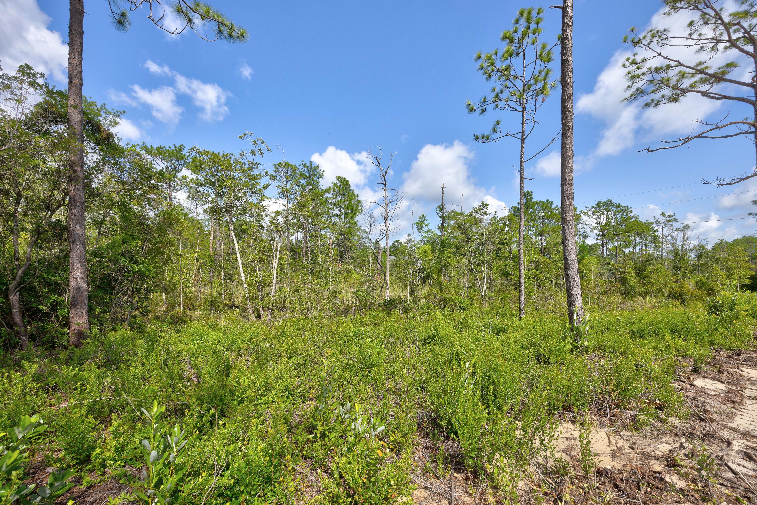 Lots 10-12 E Iris Lane, DeFuniak Springs
