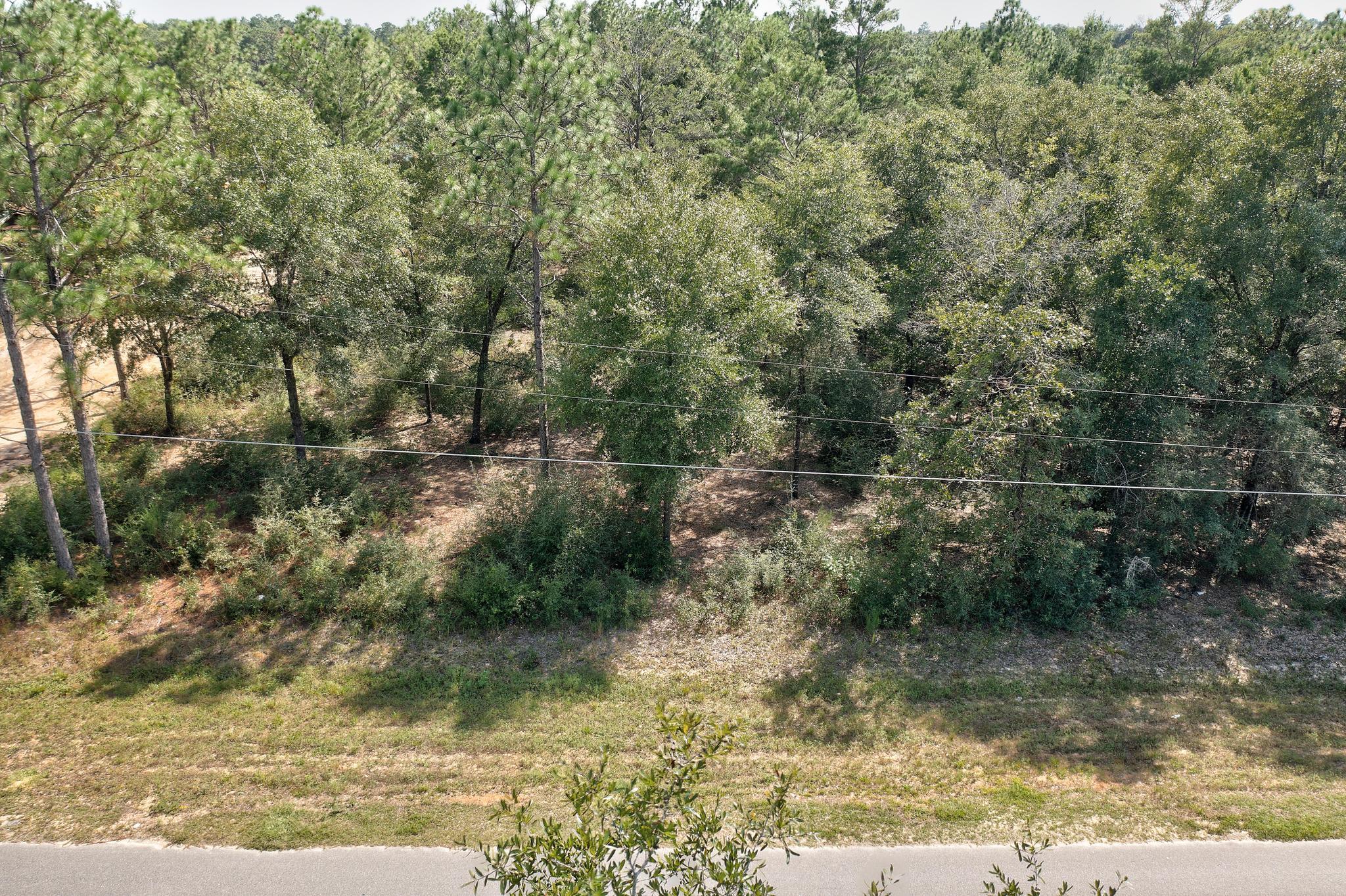 Lot2 W Violet Lane, DeFuniak Springs