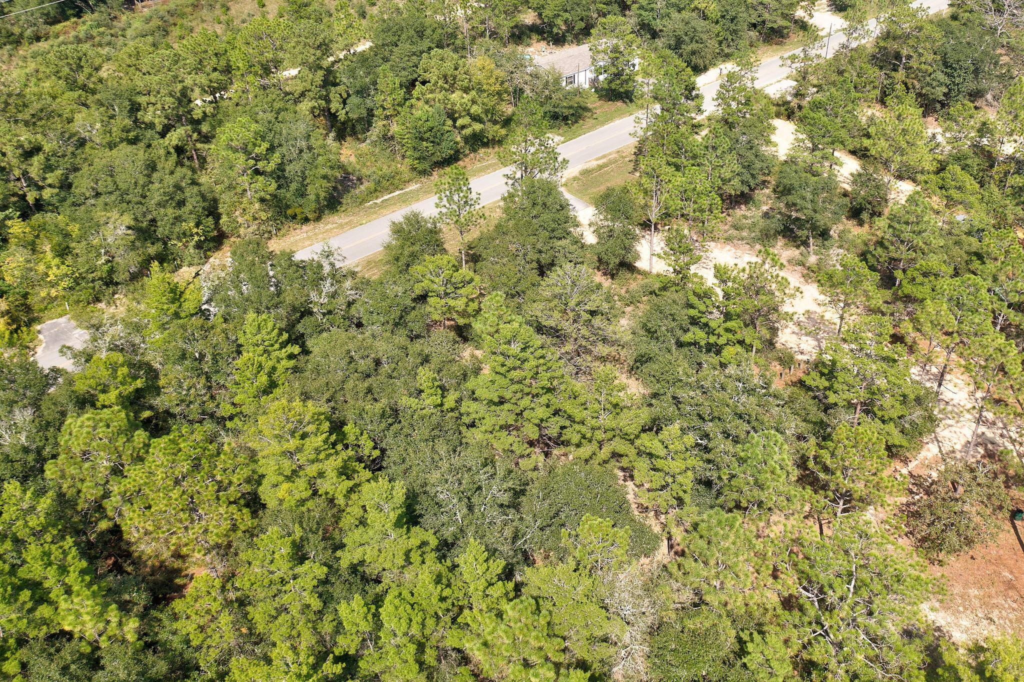 Lot2 W Violet Lane, DeFuniak Springs