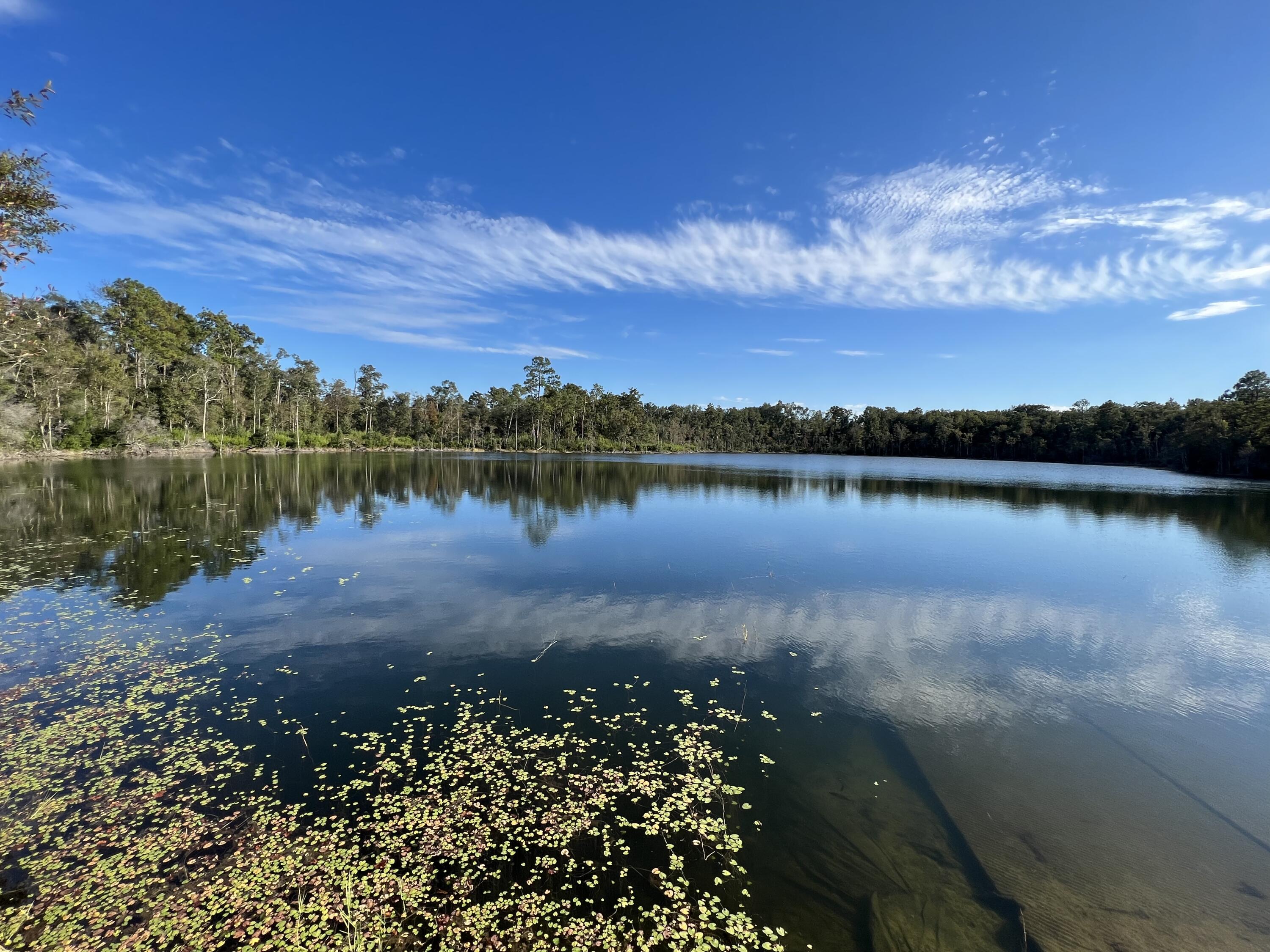 Lot 13 Velvet Drive