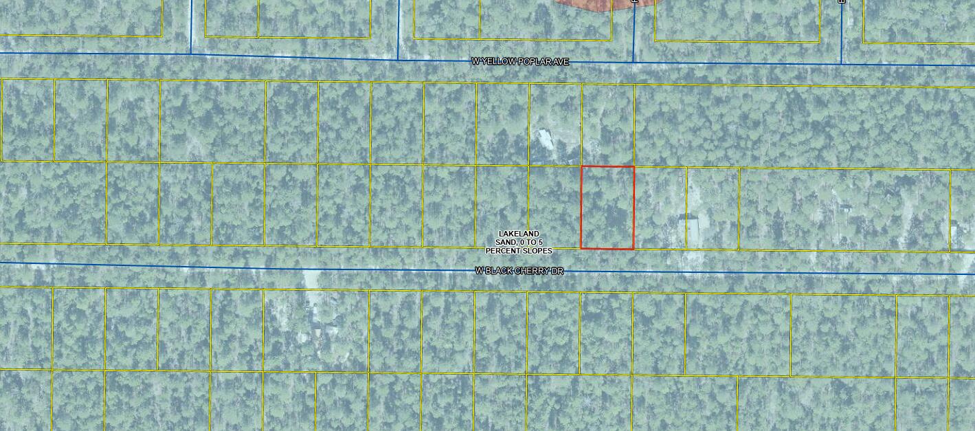Lot 43 W Black Cherry Drive, DeFuniak Springs