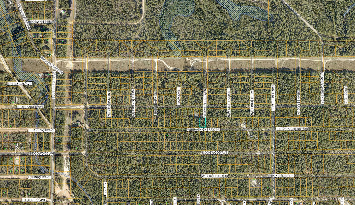 Lot 43 W Black Cherry Drive, DeFuniak Springs