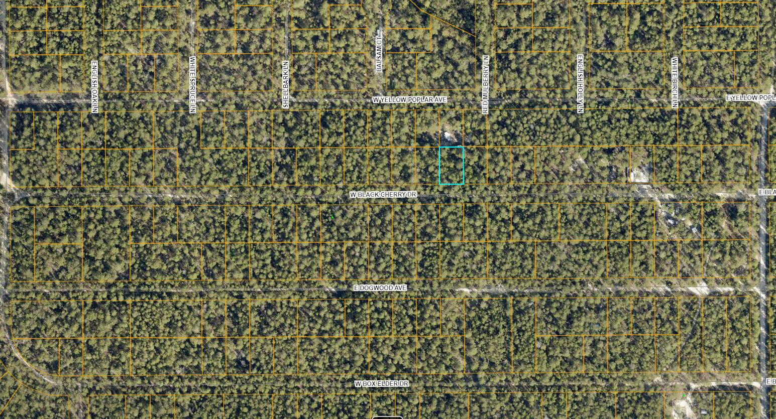 Lot 44 W Black Cherry Drive, DeFuniak Springs