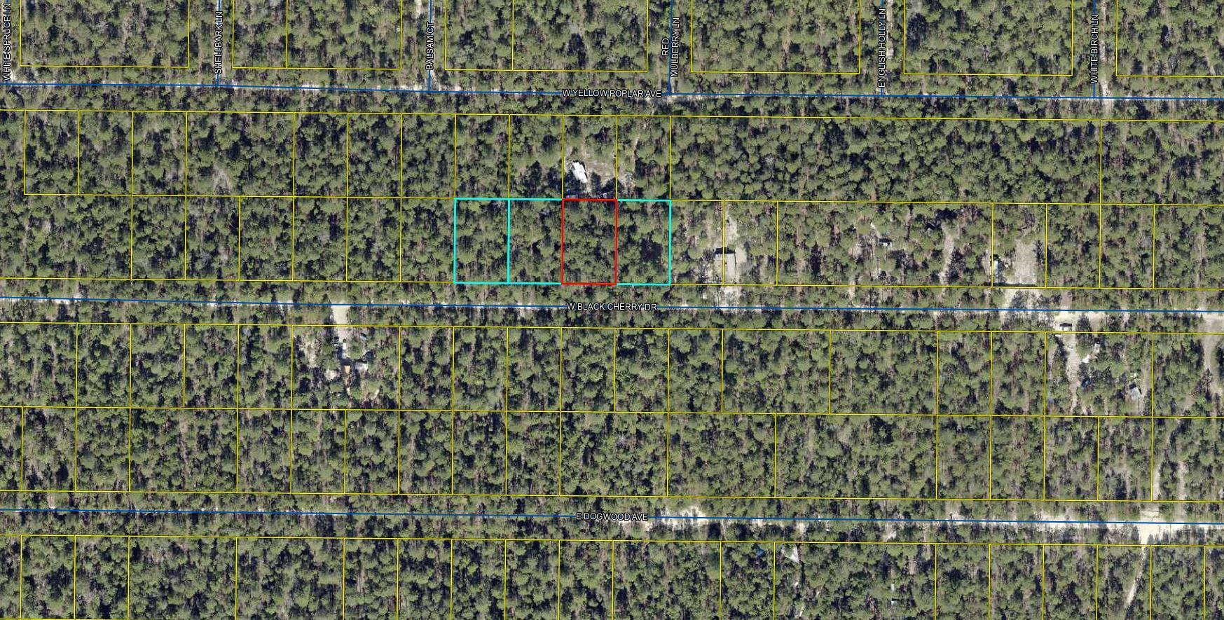 Lot 44 W Black Cherry Drive, DeFuniak Springs