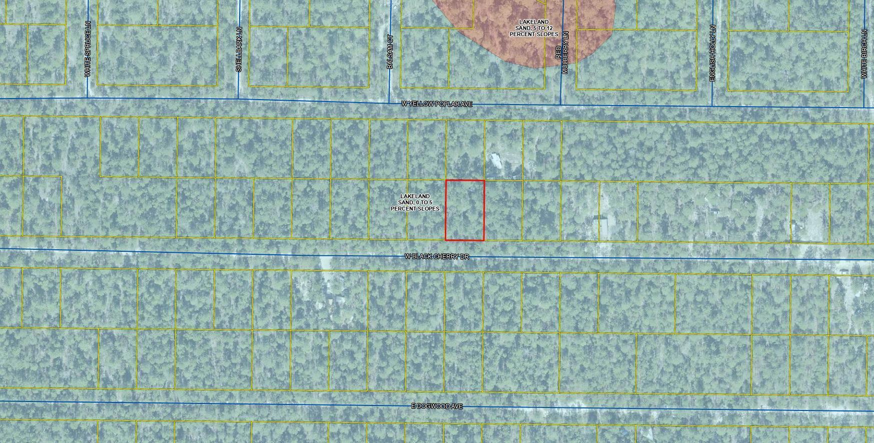Lot 45 W Black Cherry Drive, DeFuniak Springs