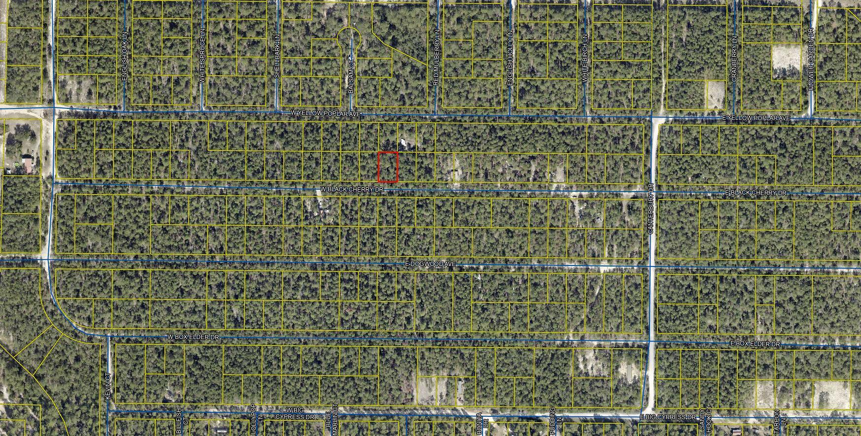 Lot 45 W Black Cherry Drive, DeFuniak Springs