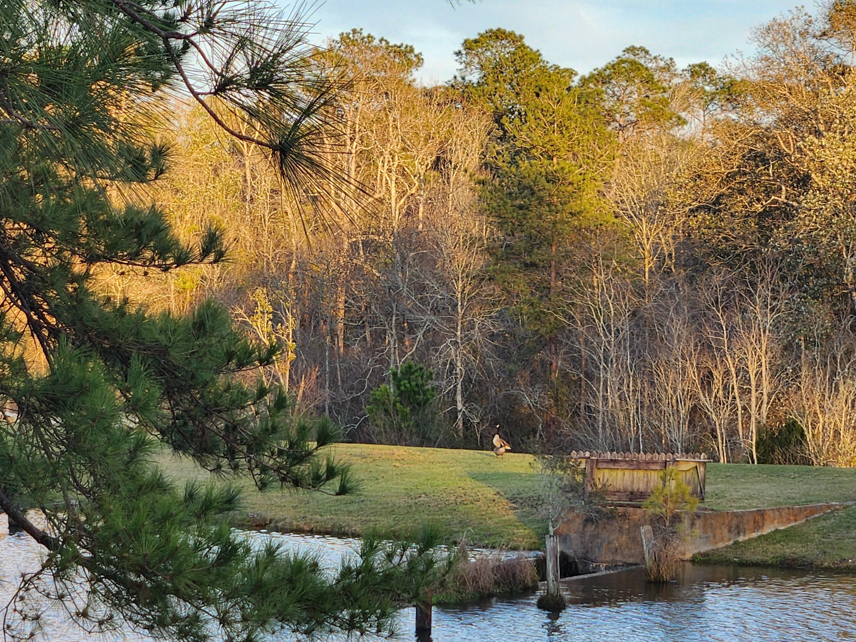 5131 Wiggins Lake Road