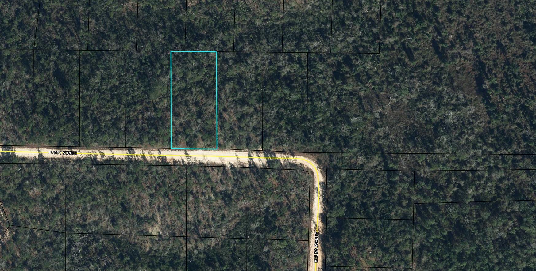 Lot 40 POPPY Street