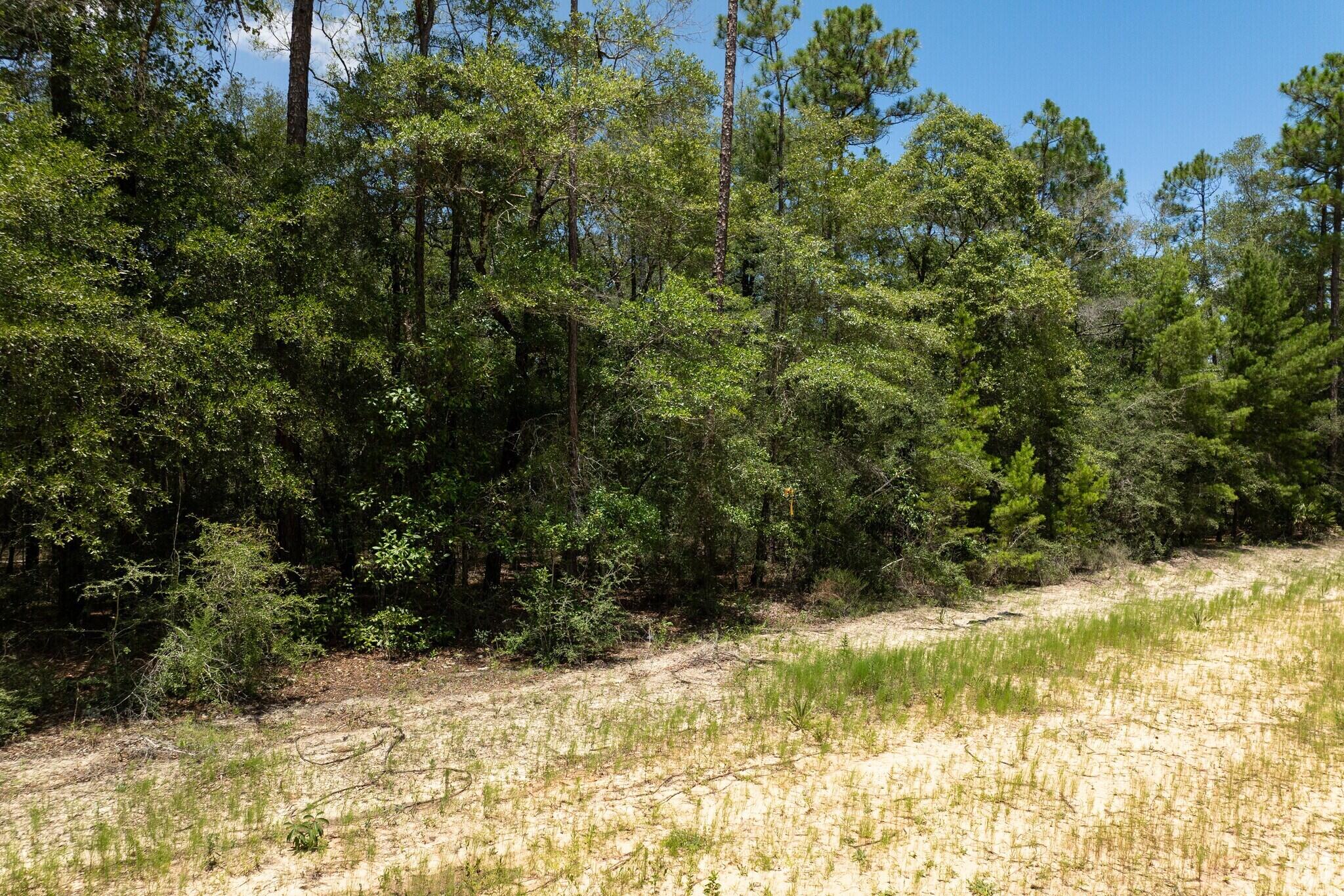 90 AC Wildwood Lakes Drive, DeFuniak Springs