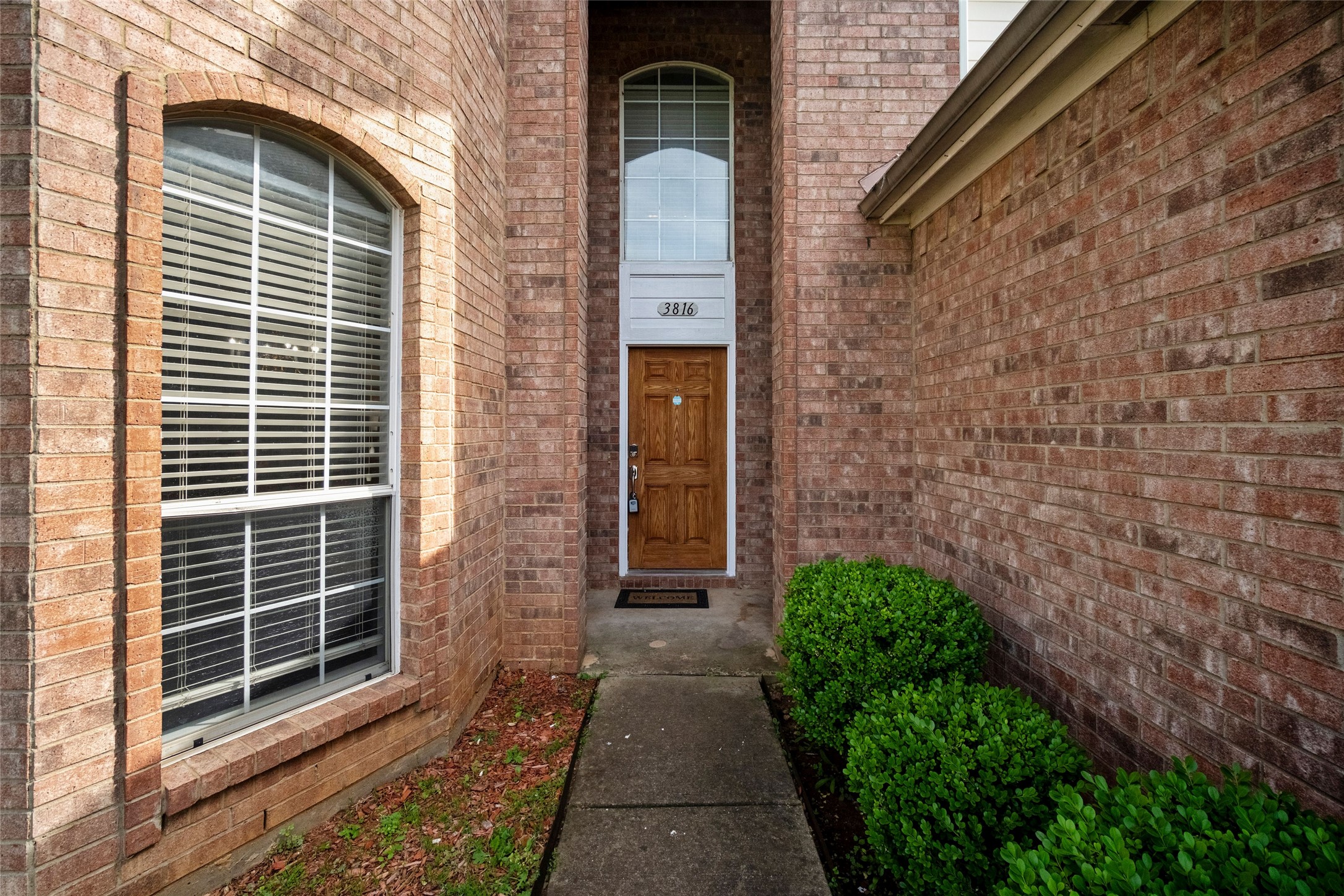 3816 Lacebark Lane