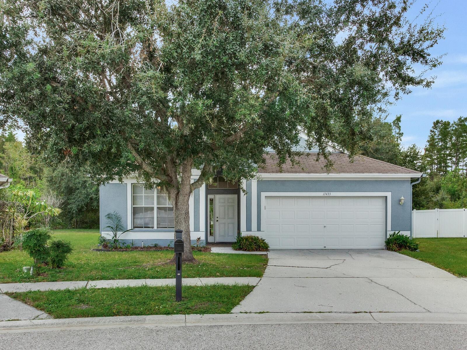 17433 LAWN ORCHID LOOP