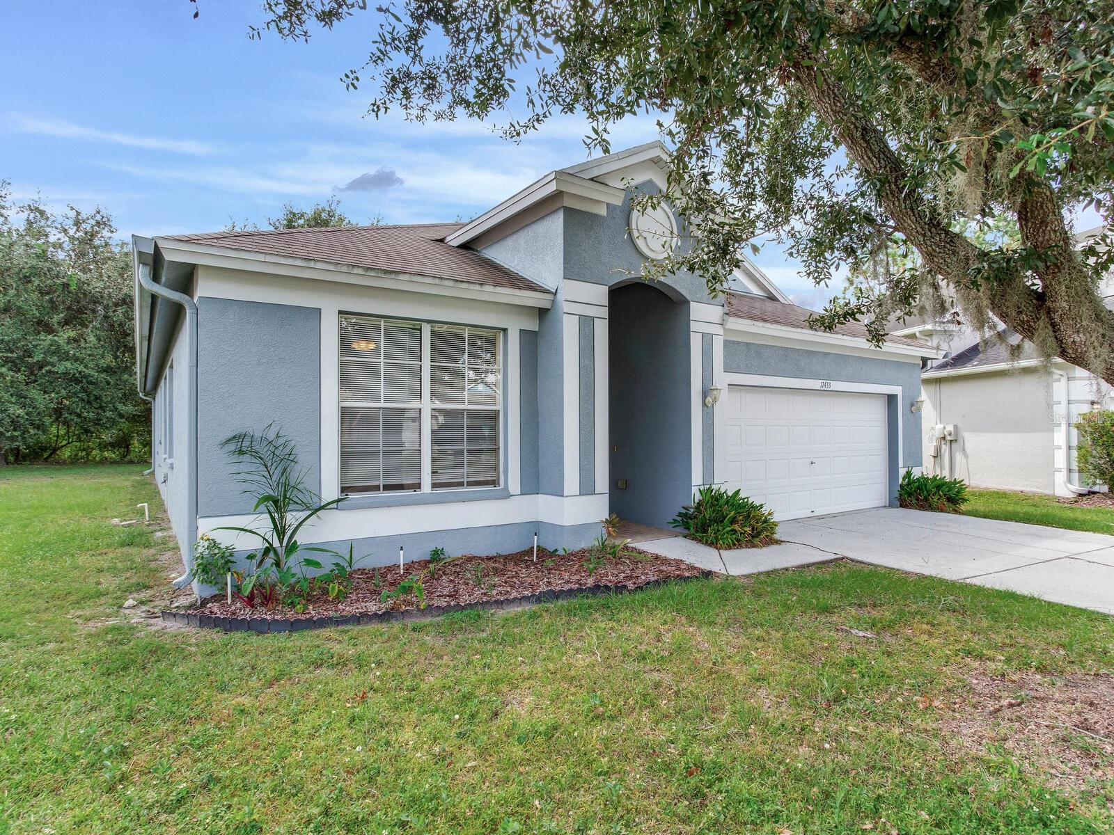 17433 LAWN ORCHID LOOP