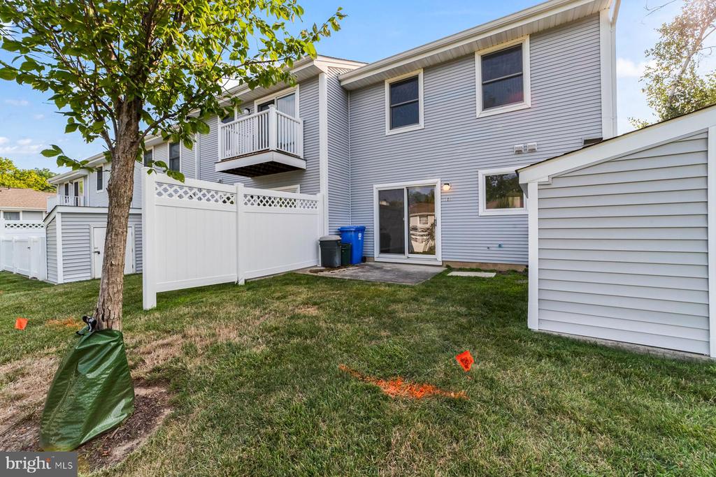 186 Jonathan Dayton