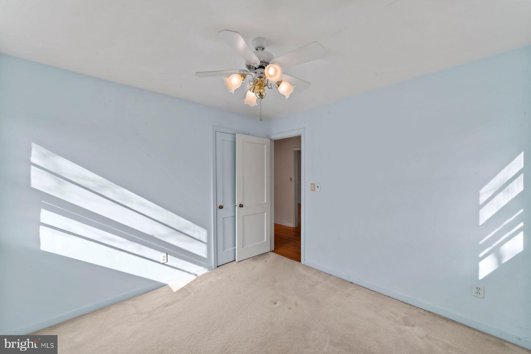 32 Spruce