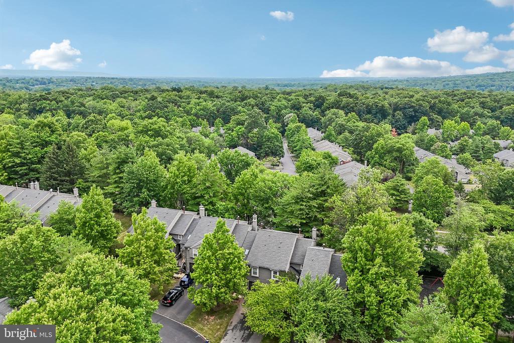 31 CHICOPEE DRIVE