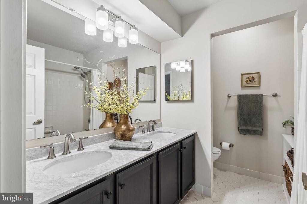 31 CHICOPEE DRIVE