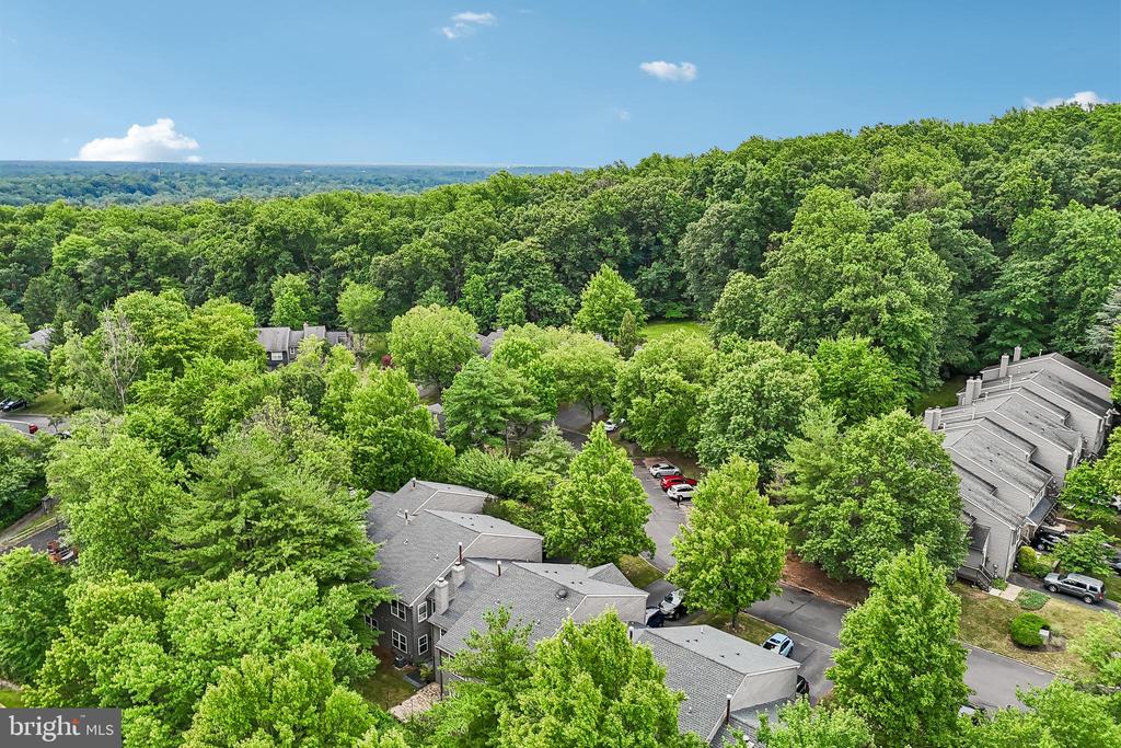 31 CHICOPEE DRIVE
