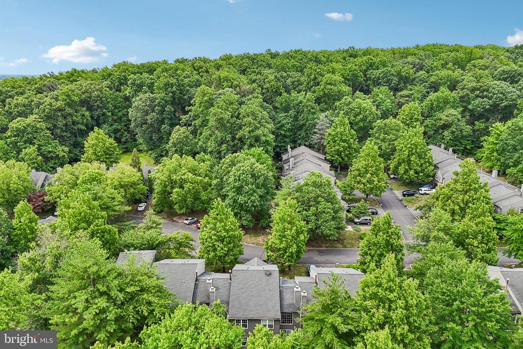 31 CHICOPEE DRIVE