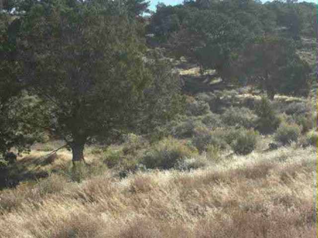 915 S Cany Lot 16 Ph 2 Northridge