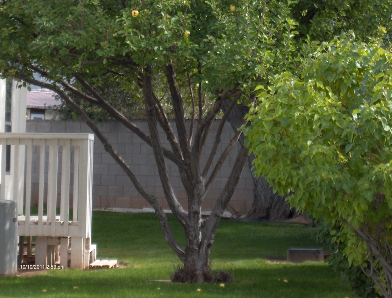 3870 N Minersville Hwy, #27 #27