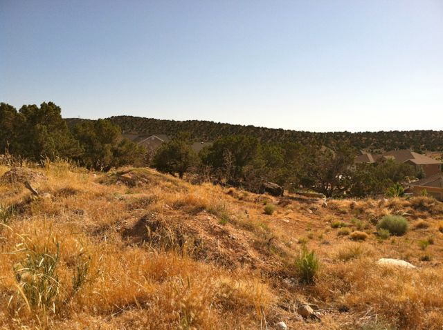 62 S MARBLE CANYON DR