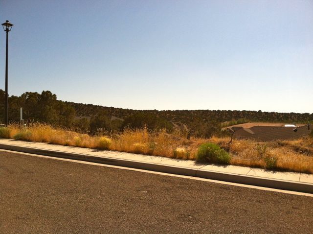 62 S MARBLE CANYON DR