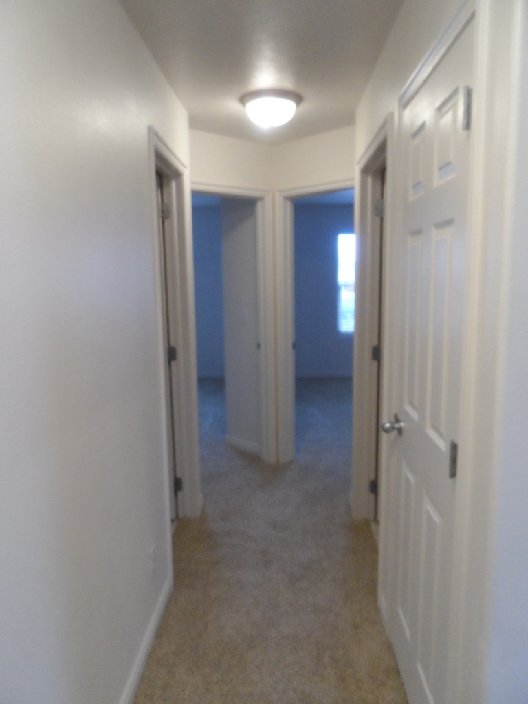 284 N TORREY PINES CIR