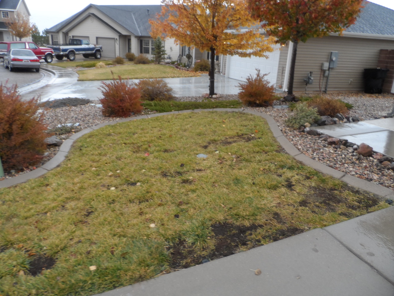 284 N TORREY PINES CIR