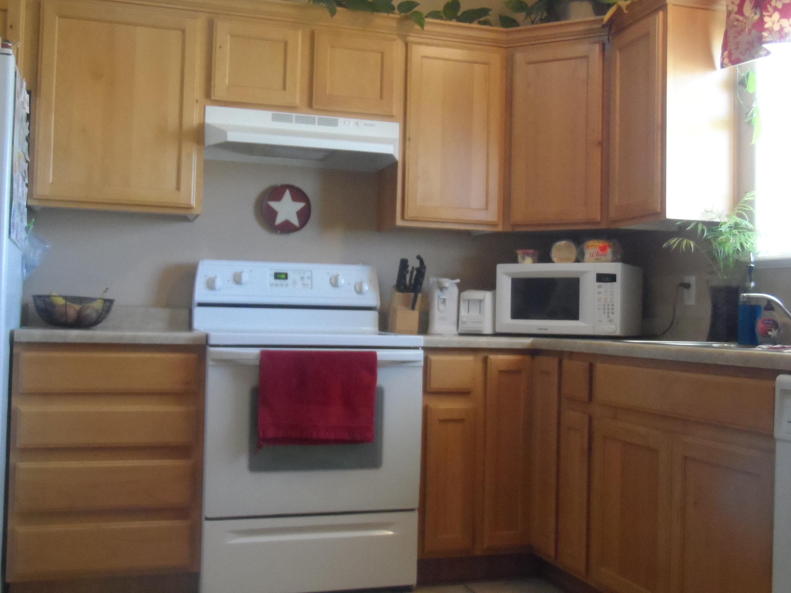 1593 E Southern Homestaed Blvd