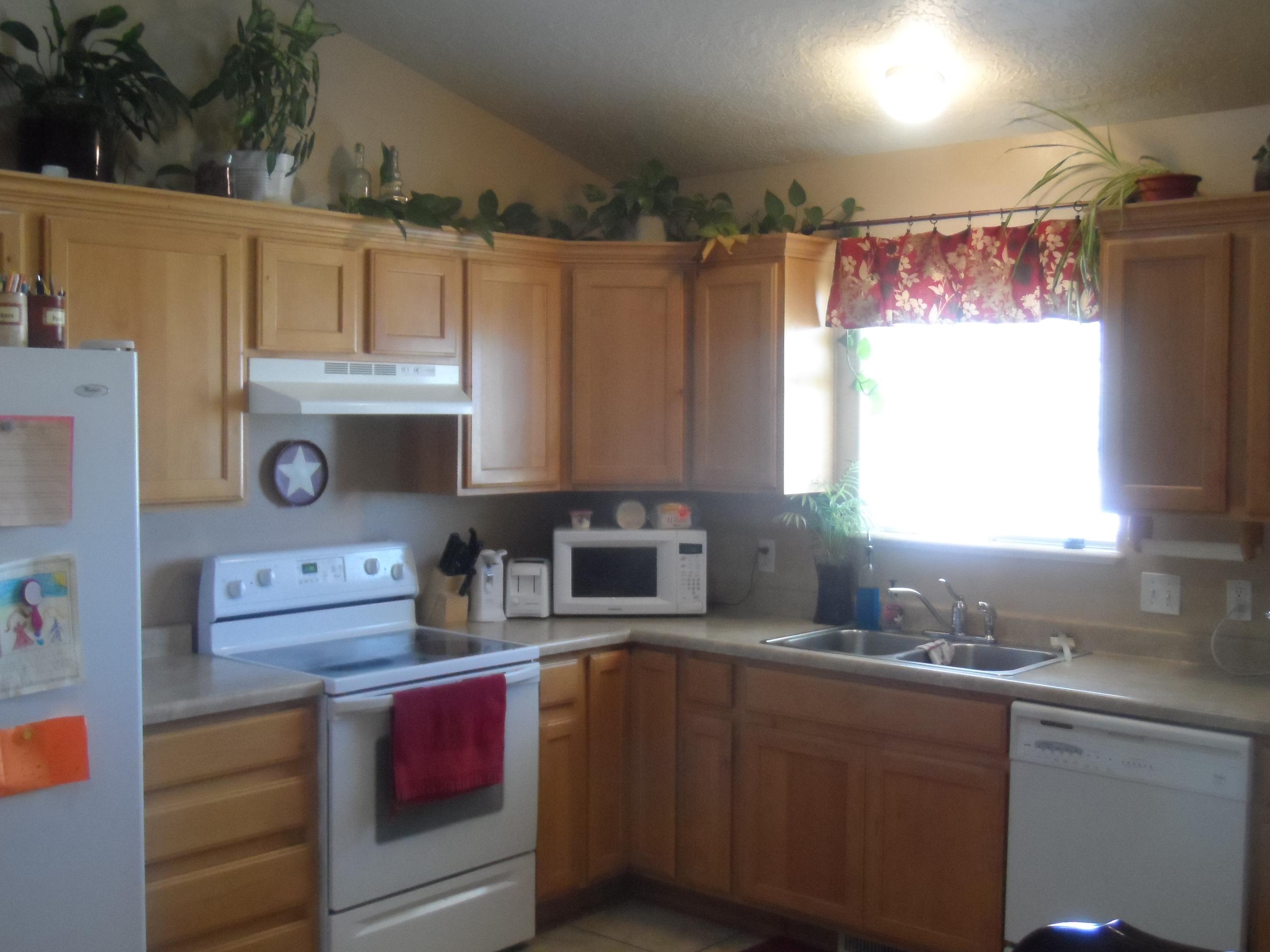 1593 E Southern Homestaed Blvd