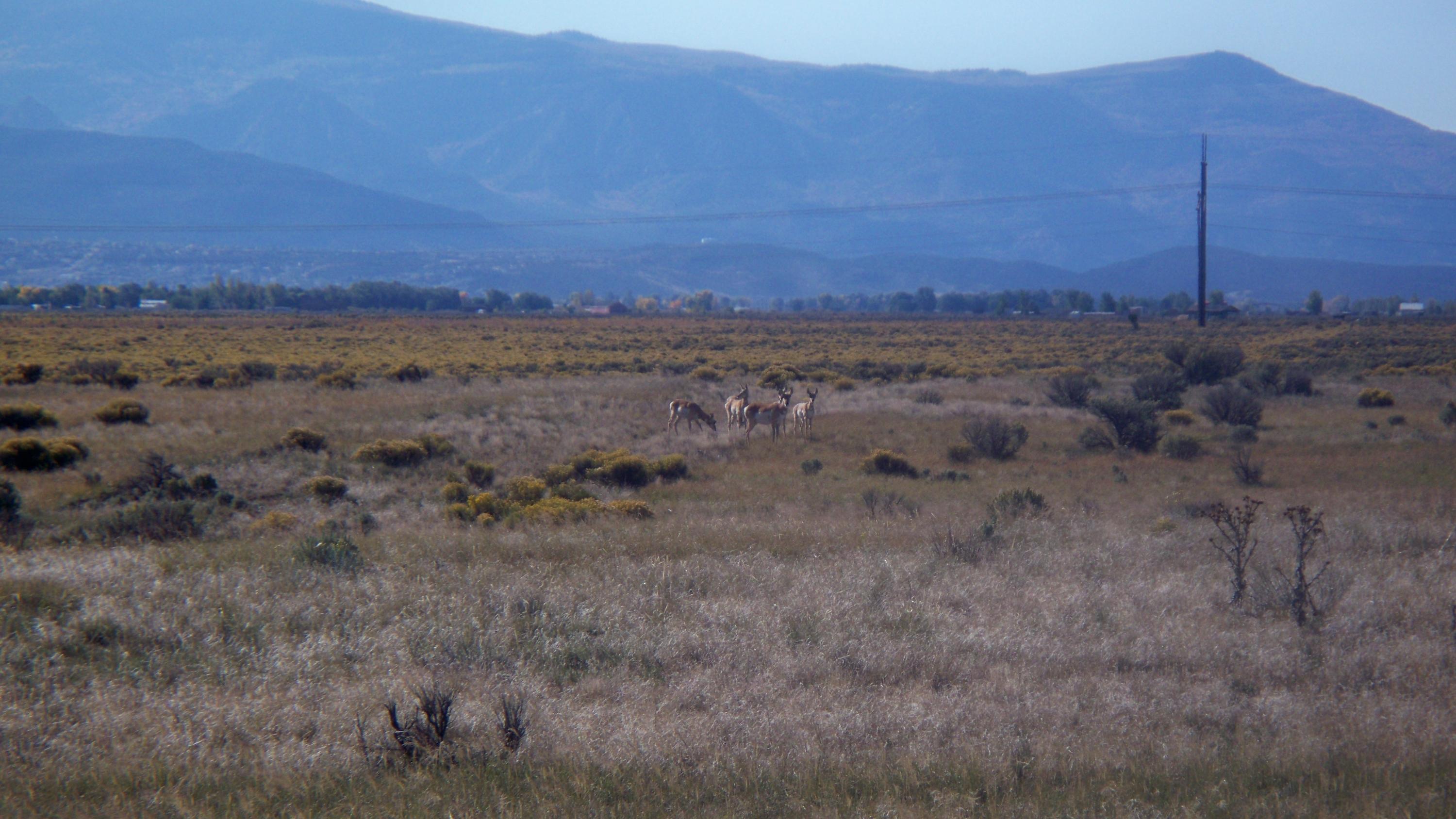 Lots 15&16 Block C, Cedar Valley Acres