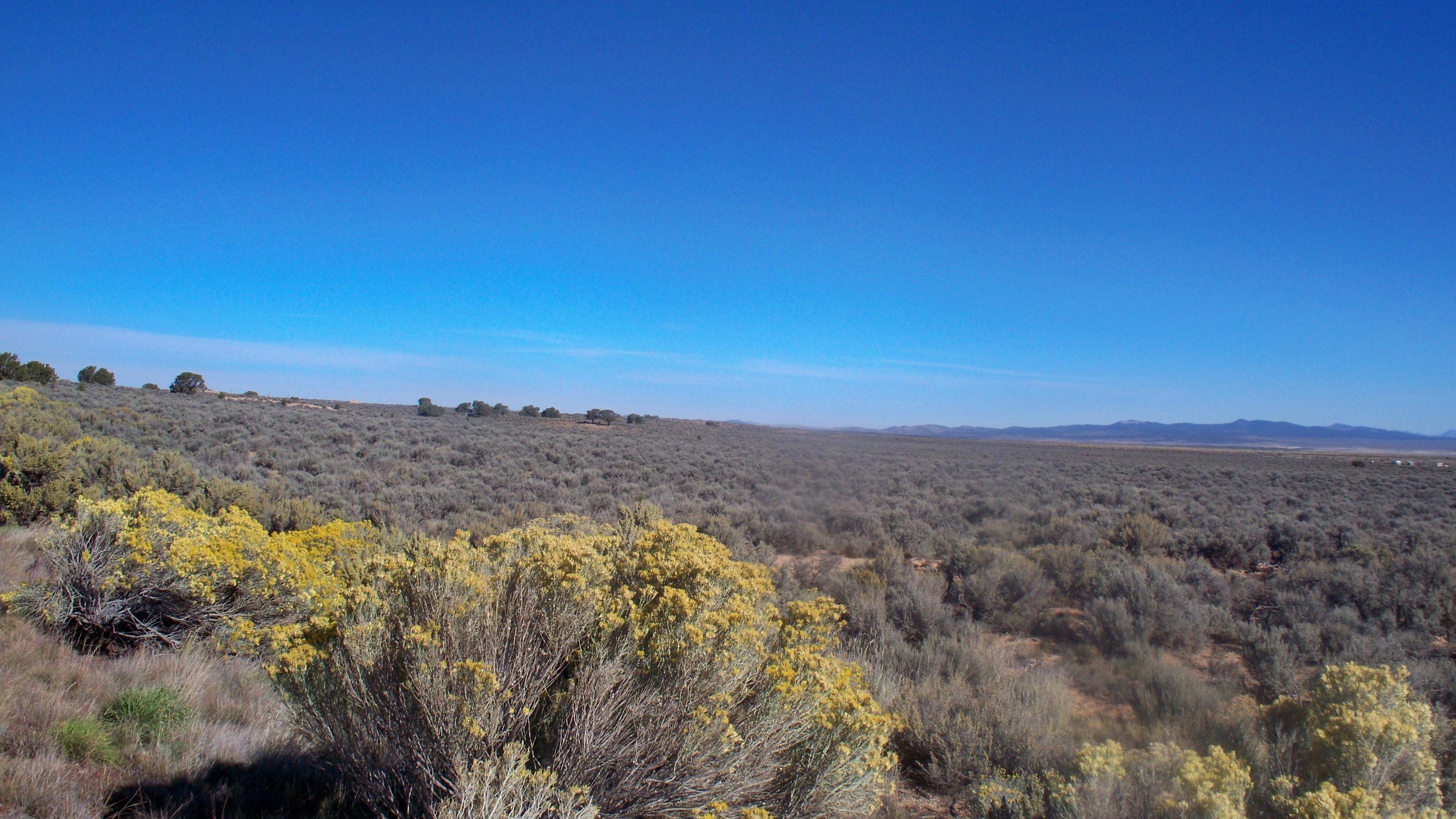 Lots 15&16 Block C, Cedar Valley Acres