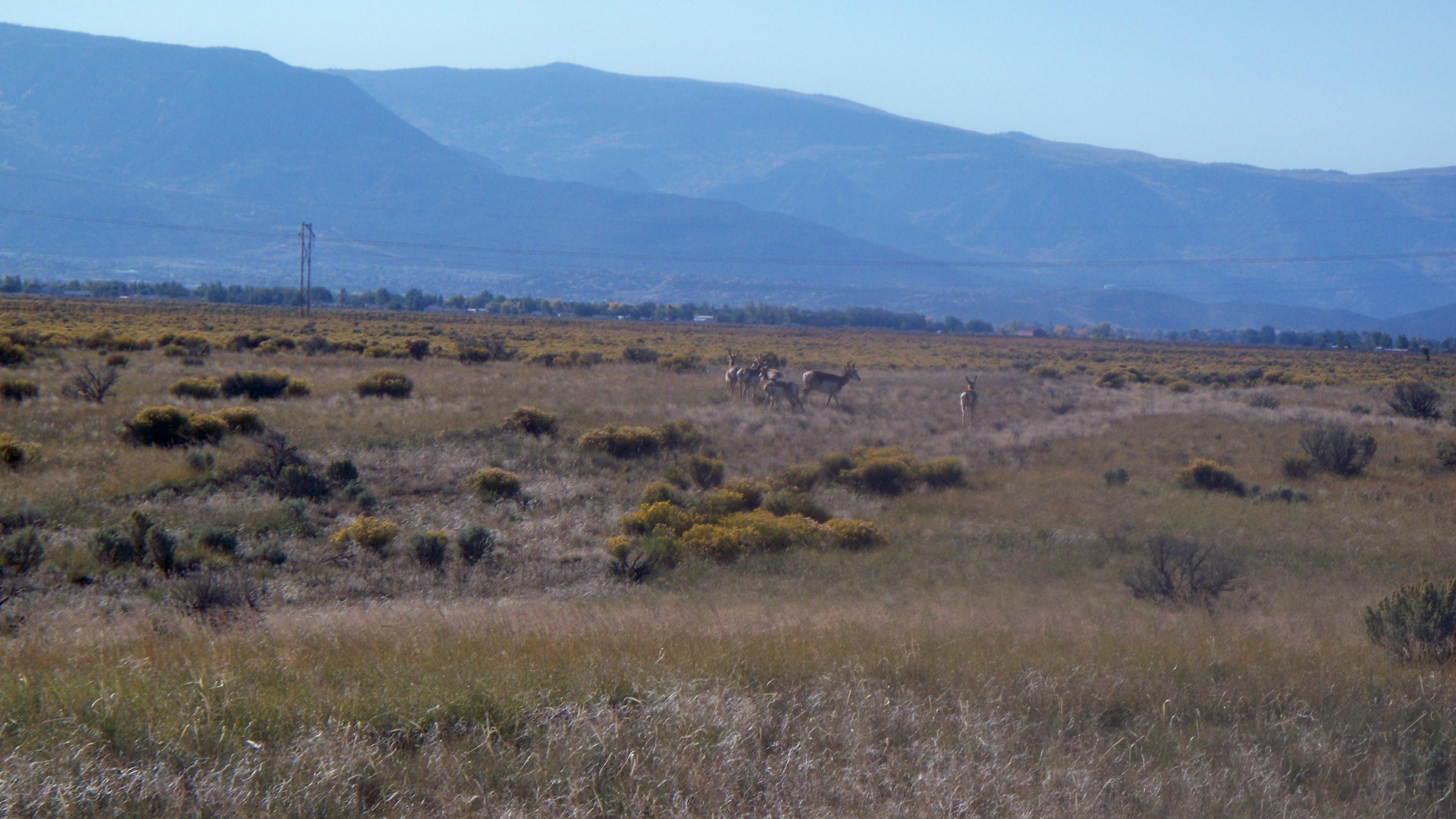 Lots 15&16 Block C, Cedar Valley Acres