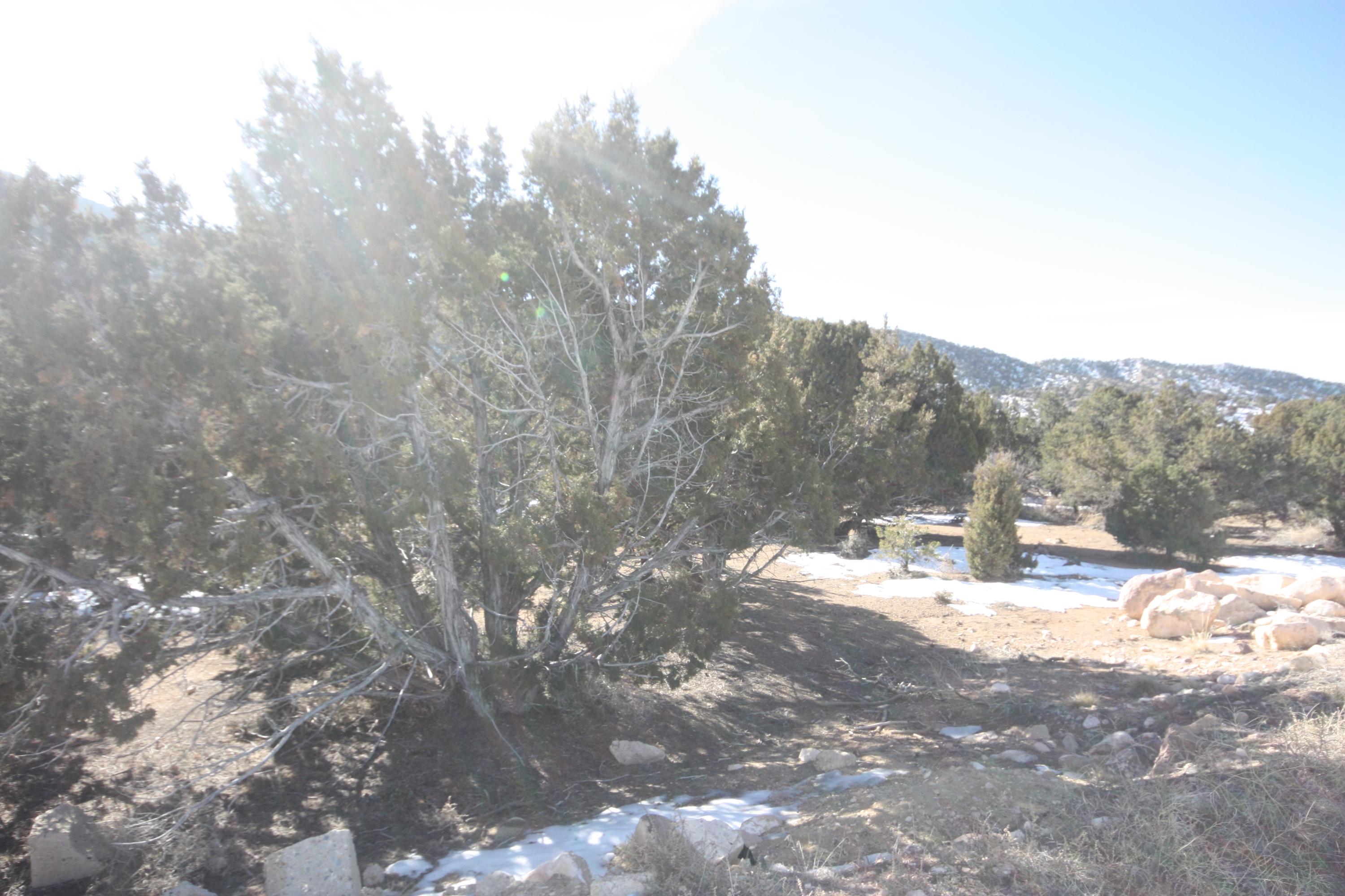 1209 E ASHDOWN FOREST