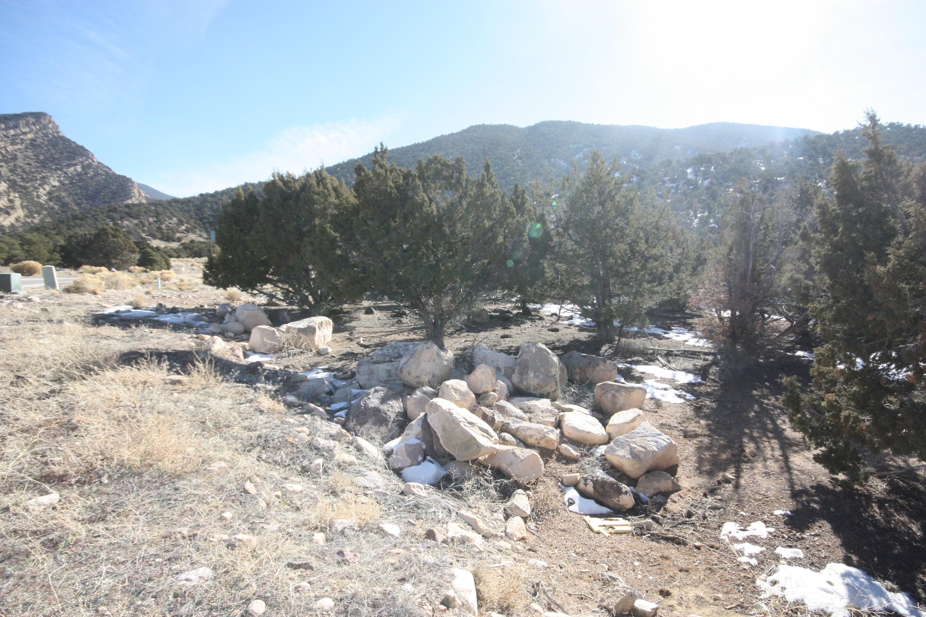 1209 E ASHDOWN FOREST