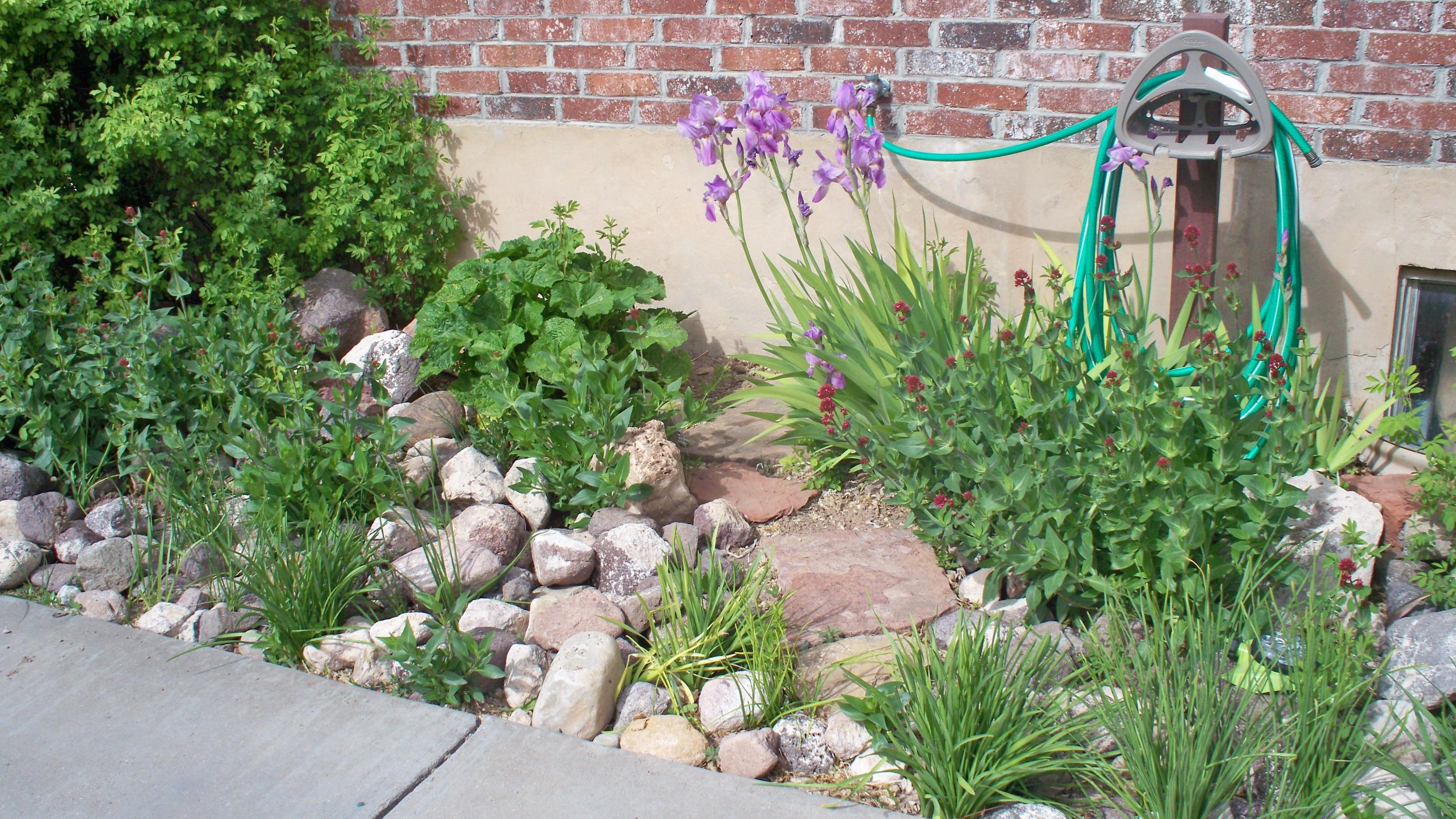 4921 N MULE TRAIN DR