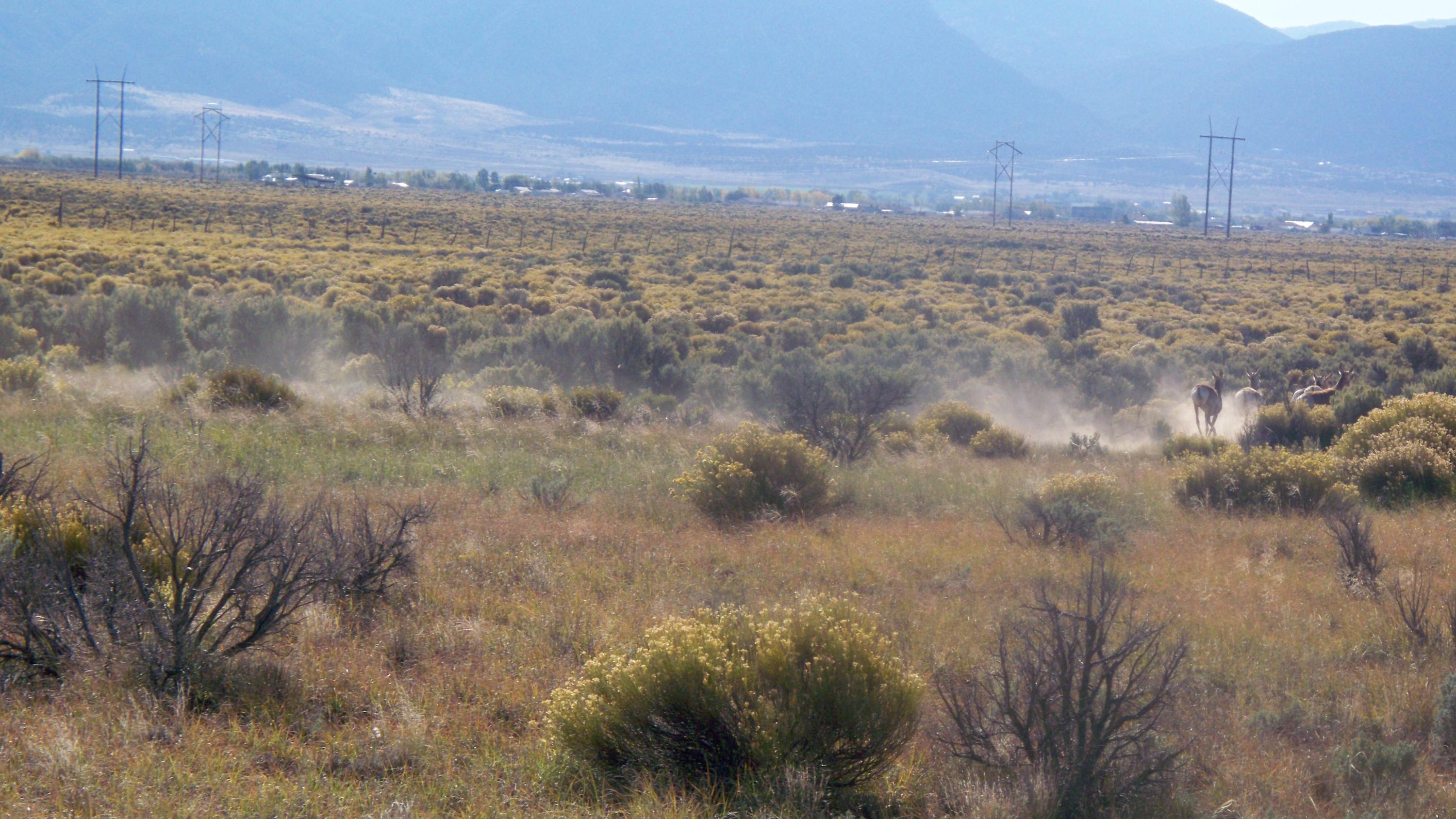 Lots 15&16 Block C, Cedar Valley Acres