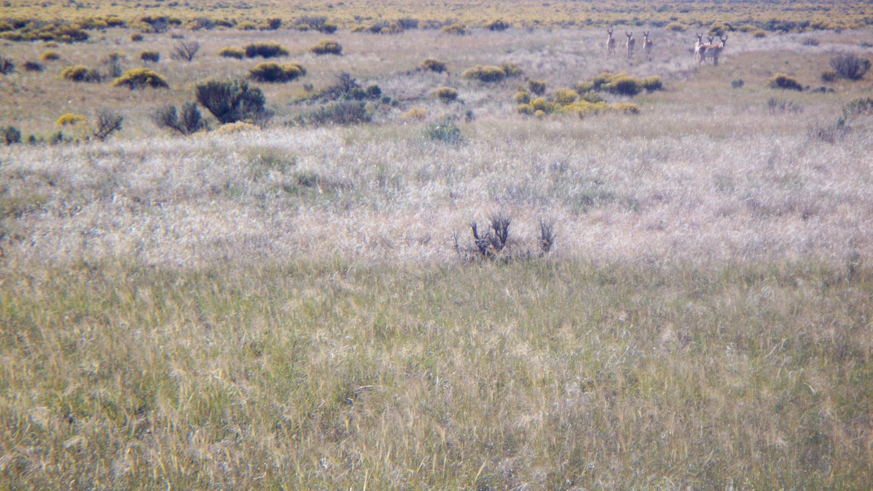 Lots 15&16 Block C, Cedar Valley Acres