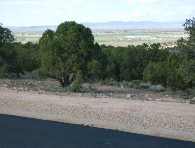 894 S HILLCREST, Lot 19 Lot 19