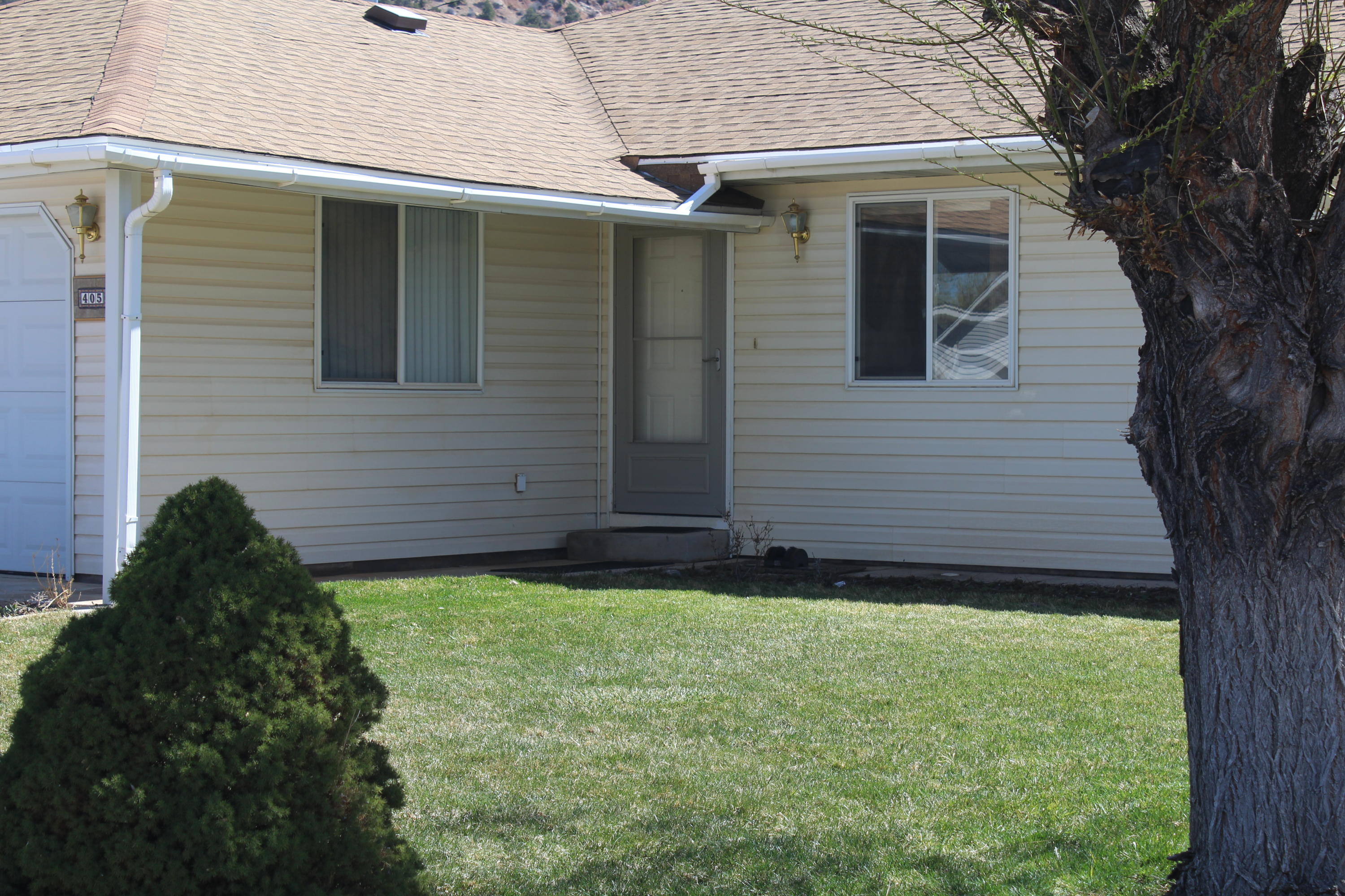 405 W BRISTLECONE DR