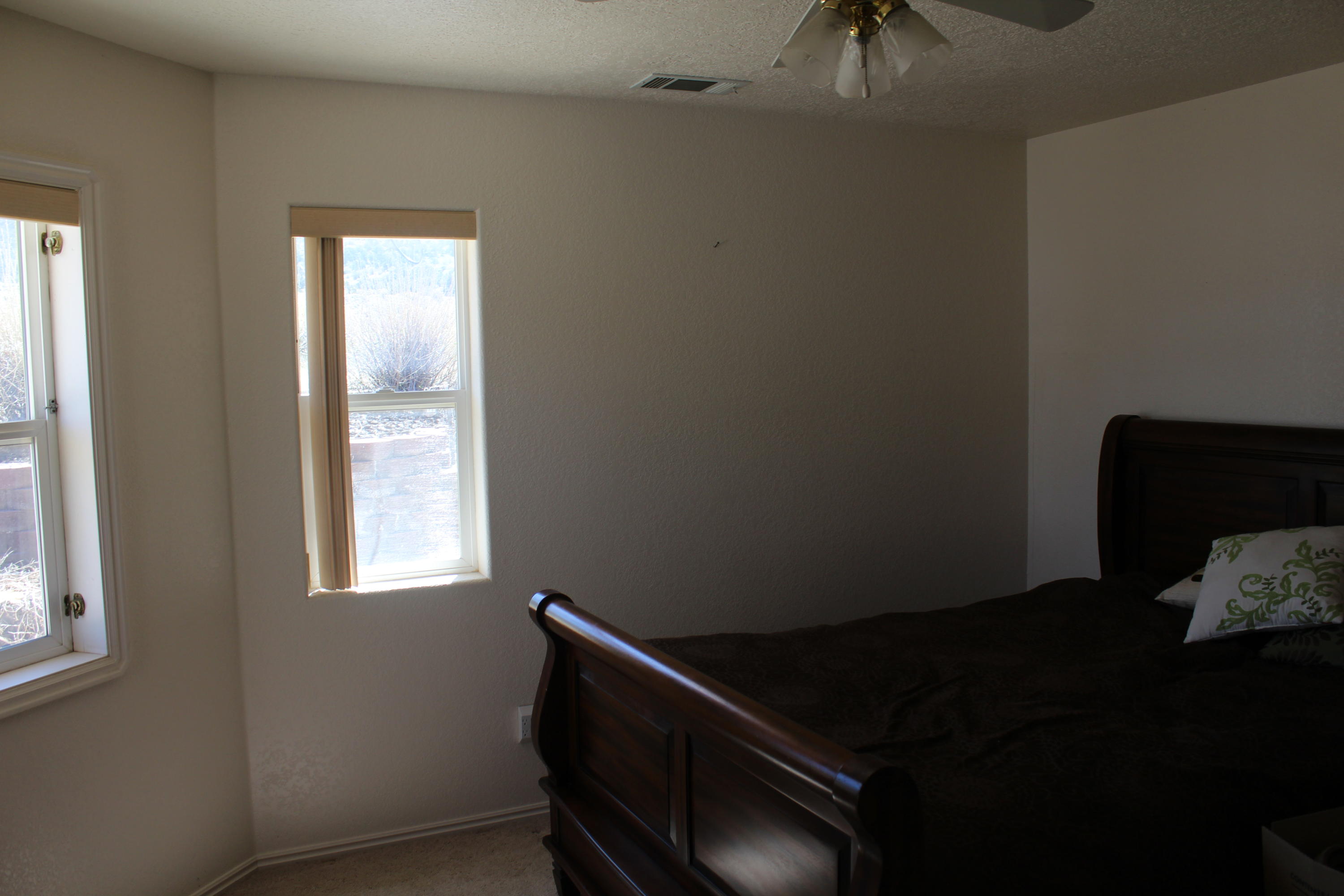 405 W BRISTLECONE DR