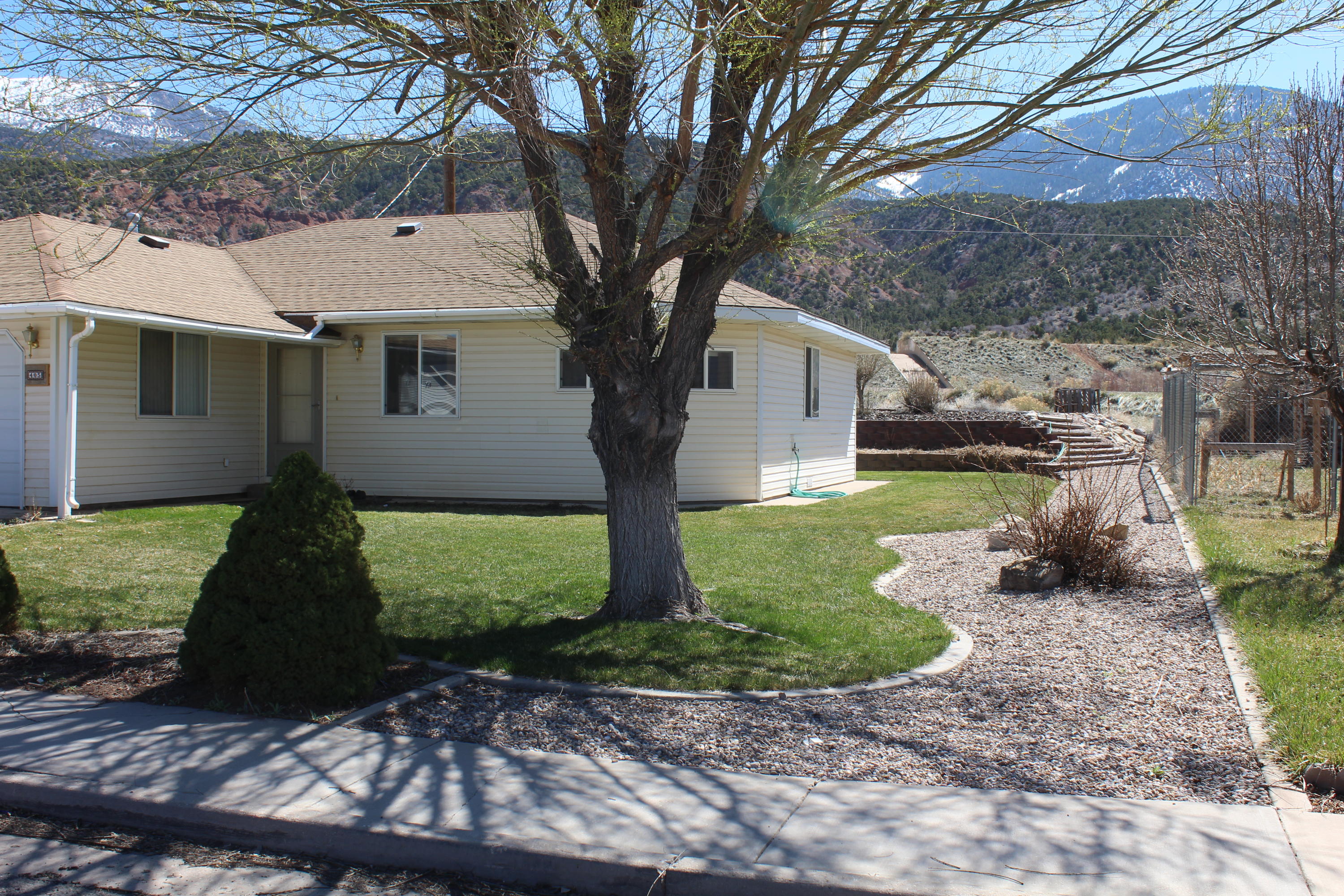 405 W BRISTLECONE DR