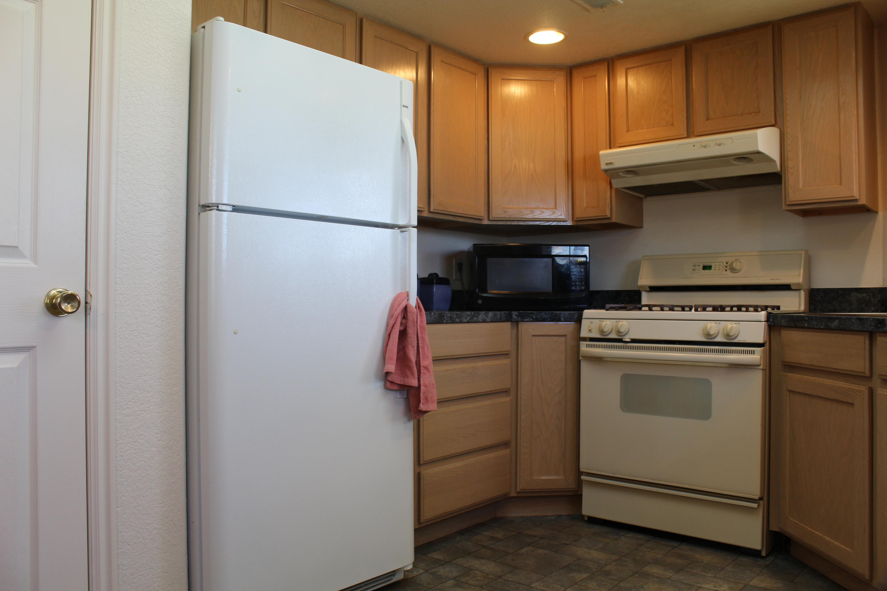 405 W BRISTLECONE DR