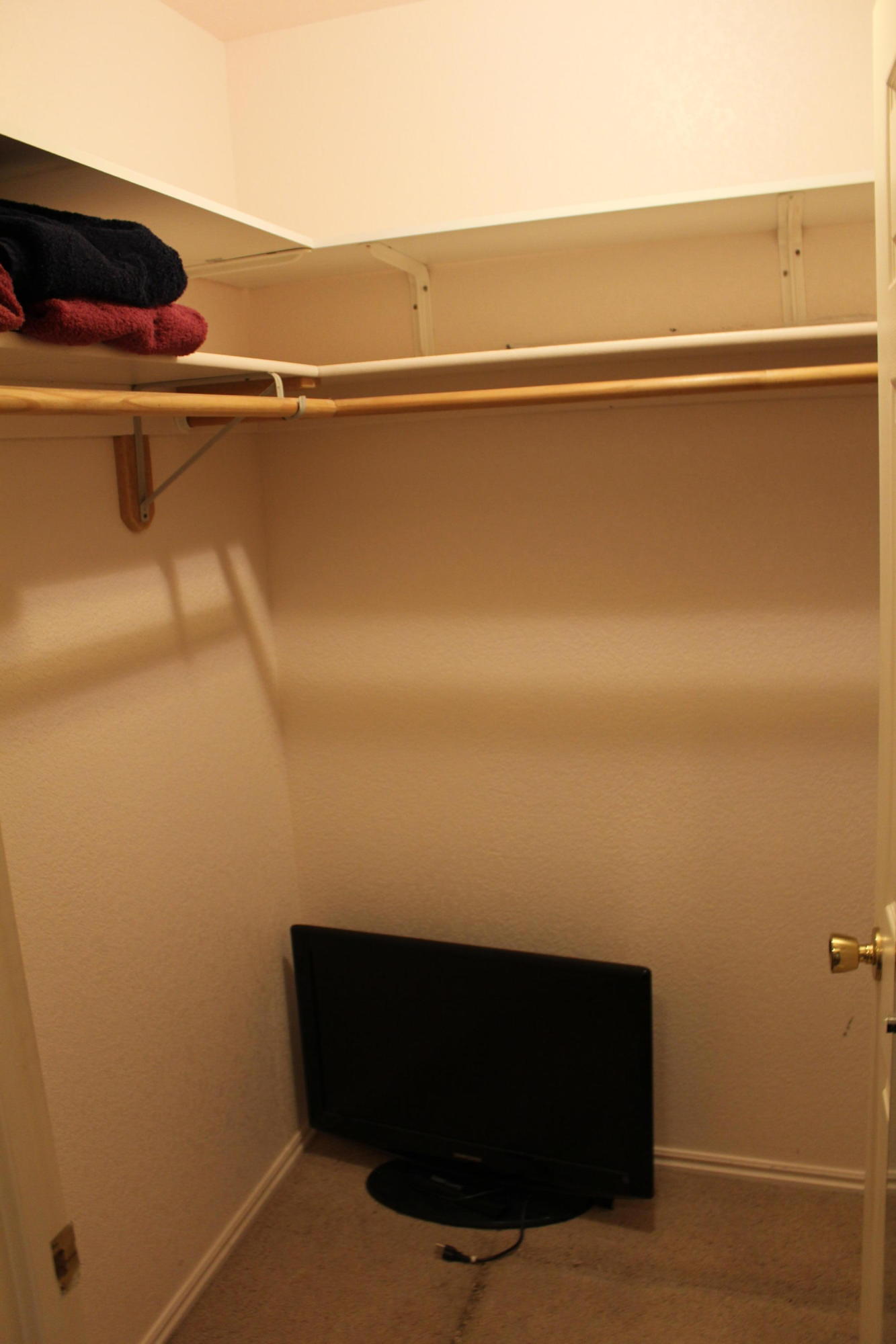 405 W BRISTLECONE DR