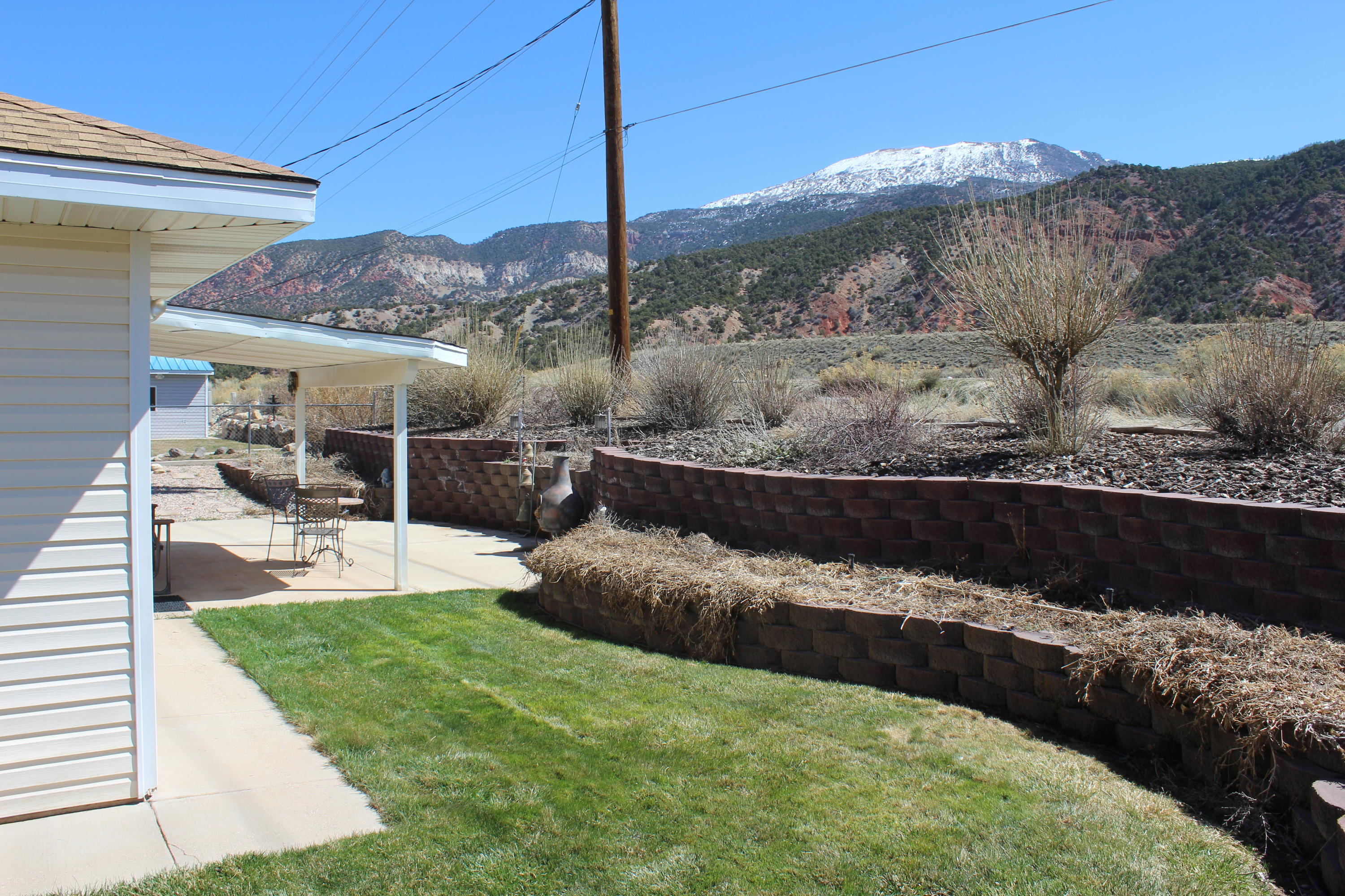 405 W BRISTLECONE DR