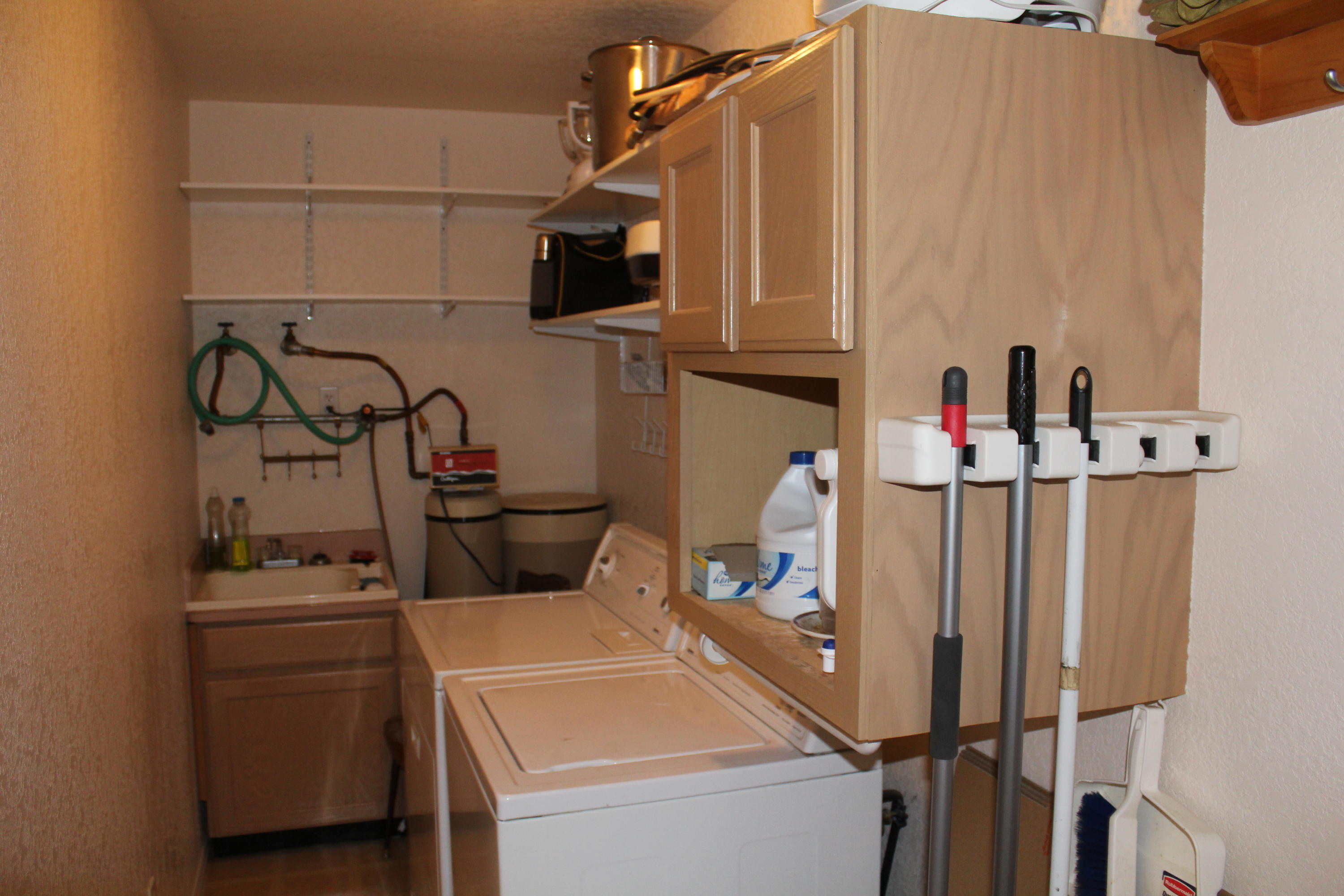 405 W BRISTLECONE DR