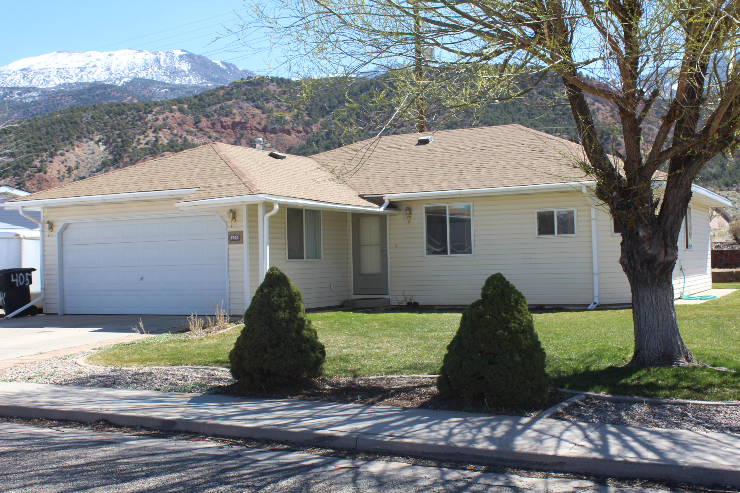 405 W BRISTLECONE DR