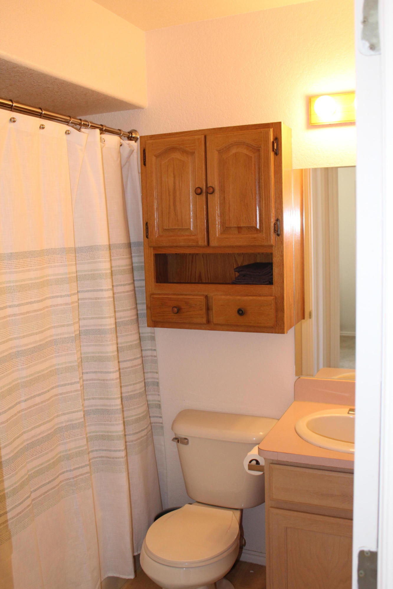 405 W BRISTLECONE DR