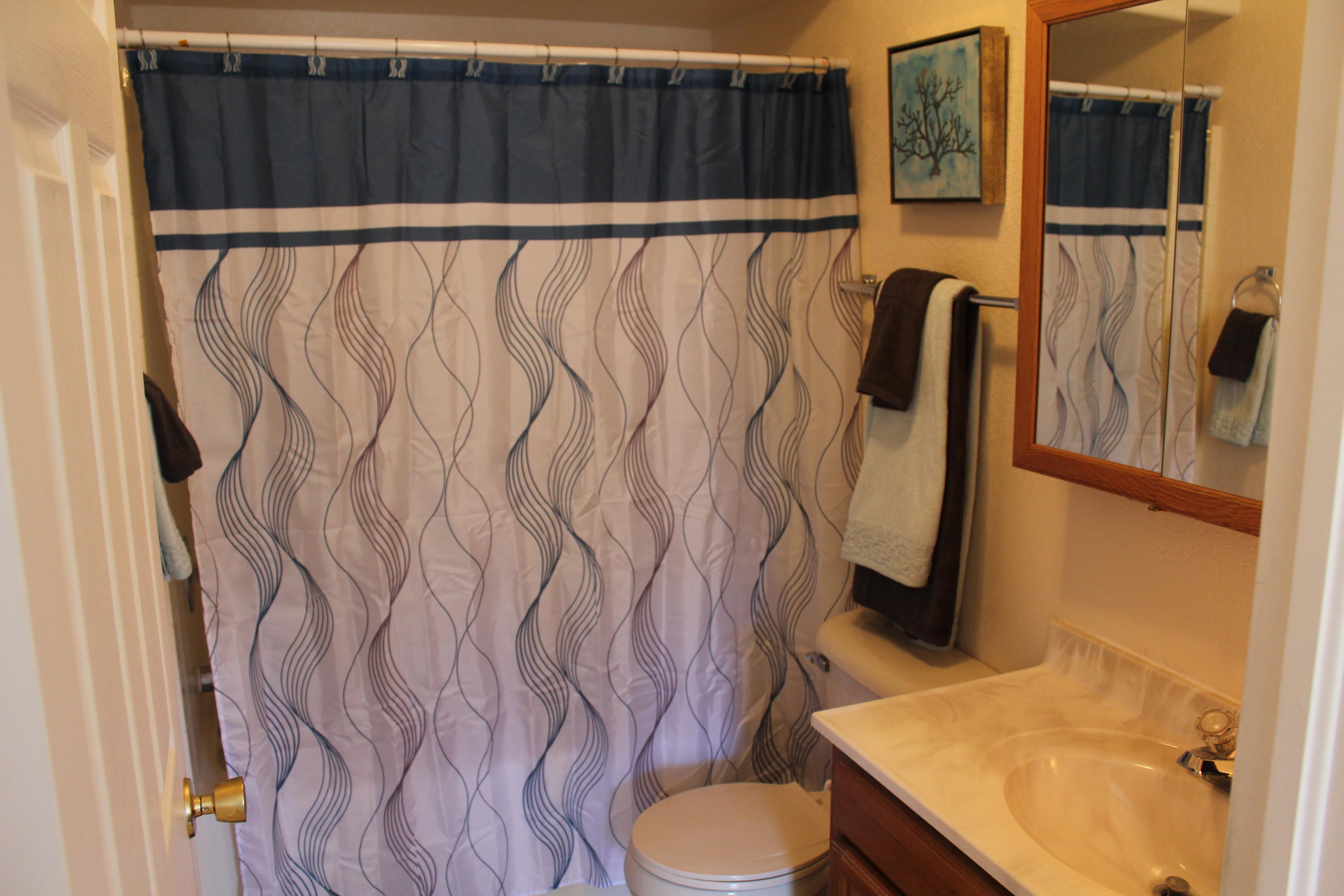 405 W BRISTLECONE DR